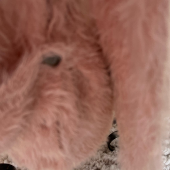 CoreyLynnCalter cardigan medium - Picture 5 of 6